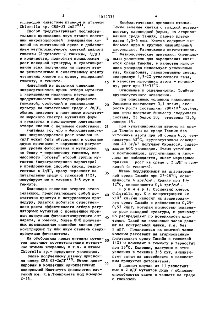 Способ отбора регуляторных мутантов фотосинтезирующих микроводорослей и штамм водоросли снlоrеllа sp-продуцент углеводов (патент 1654337)