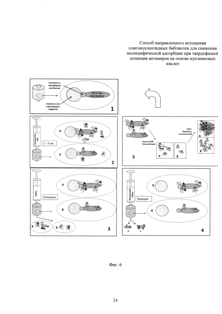 Способ направленного истощения олигонуклеотидных библиотек для снижения неспецифической адсорбции при твердофазной селекции аптамеров на основе нуклеиновых кислот (патент 2618872)
