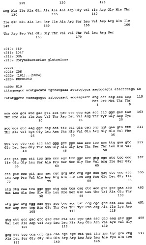 Гены corynebacterium glutamicum, кодирующие белки, участвующие в метаболизме углерода и продуцировании энергии (патент 2321634)