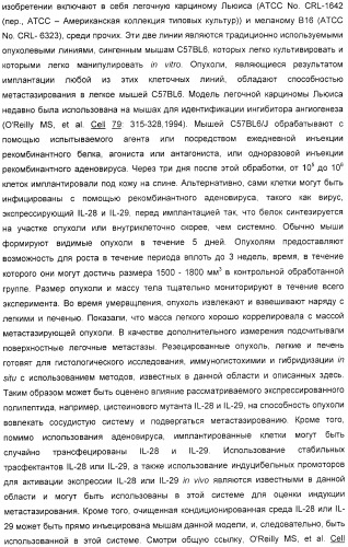 Применение il-28 и il-29 для лечения карциномы и аутоиммунных нарушений (патент 2389502)