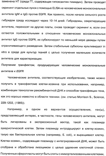 Человеческие моноклональные антитела к рецептору эпидермального фактора роста (egfr), способ их получения и их использование, гибридома, трансфектома, трансгенное животное, экспрессионный вектор (патент 2335507)