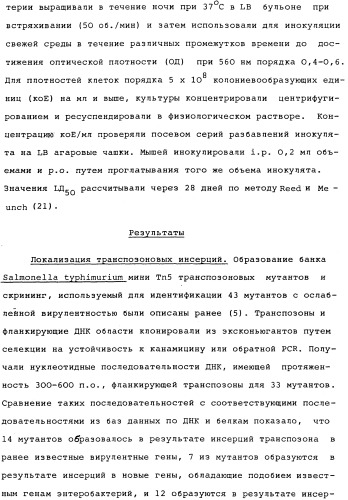 Vgc2 днк salmonella typhimurium, мутантная бактерия, обладающая пониженной способностью к адаптации к условиям окружающей среды, и способ ее получения (патент 2370541)