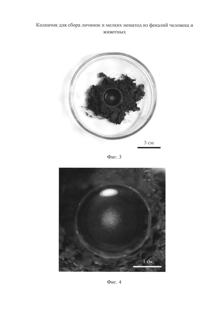 Колпачок для сбора личинок и мелких нематод из фекалий человека и животных (патент 2663629)