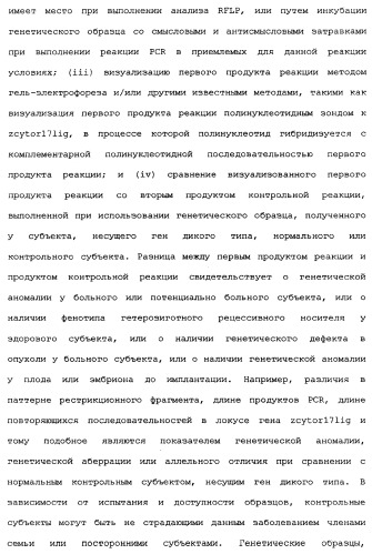 Новый лиганд рецептора цитокина zcytor17 (патент 2360923)