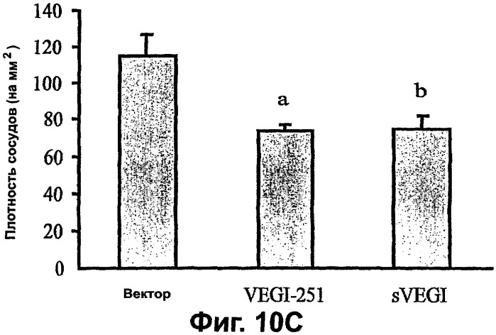 Новые изоформы ингибитора роста васкулярных эндотелиальных клеток (патент 2316591)