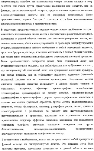 Микроорганизмы, ингибирующие образование неприятного подмышечного запаха (патент 2459864)
