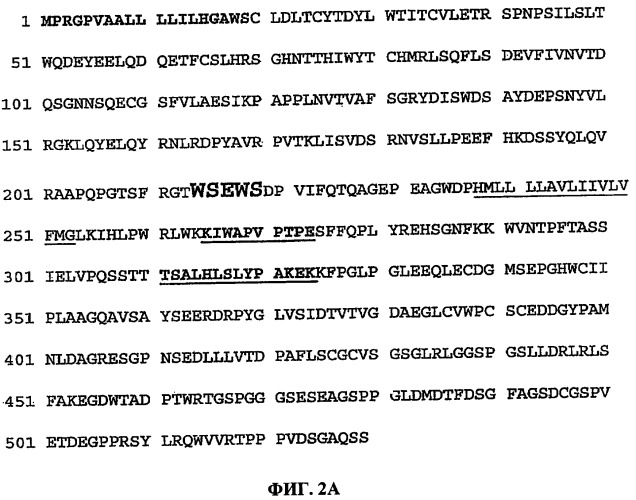 Способы лечения и профилактики фиброза антагонистами il-21/il-21r (патент 2419450)
