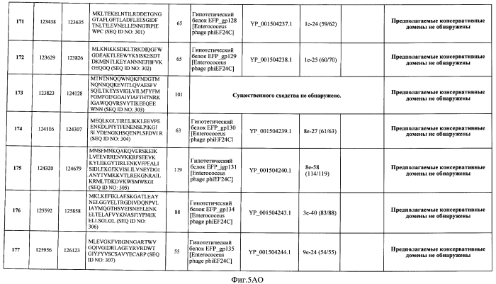 Бактериофаг, обладающий активностью против pseudomonas aeruginosa, белки бактериофага и способы их применения (патент 2580248)