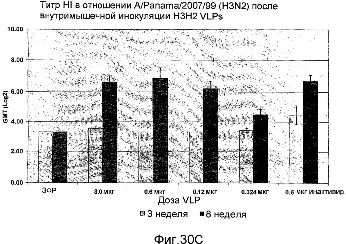 Функциональные вирусоподобные частицы гриппа (vlps) (патент 2483751)