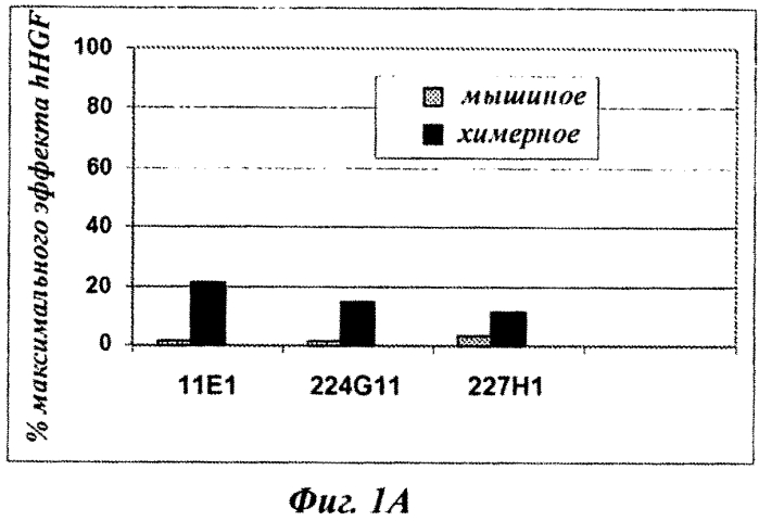 Способ модулирования антагонистической активности моноклонального антитела (патент 2575600)