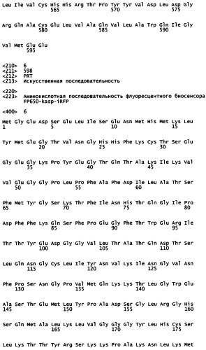 Нуклеиновая кислота, кодирующая основанный на fret дальне-красный биосенсор для измерения активности каспазы 3 внутри клеток (патент 2535981)