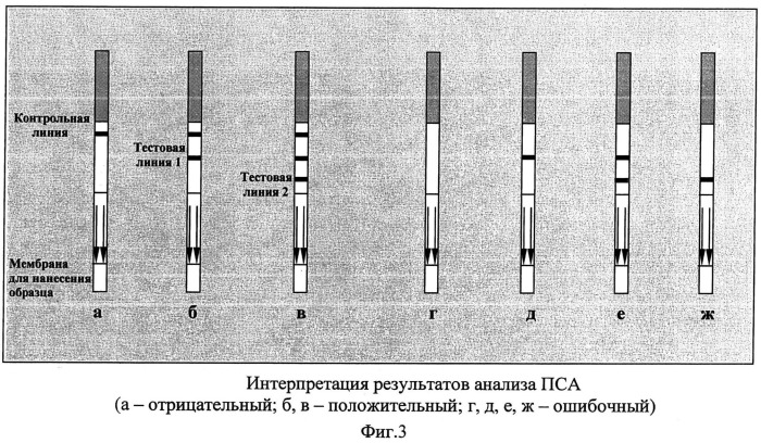 Тест-система для полуколичественного иммунохроматографического анализа (патент 2510510)