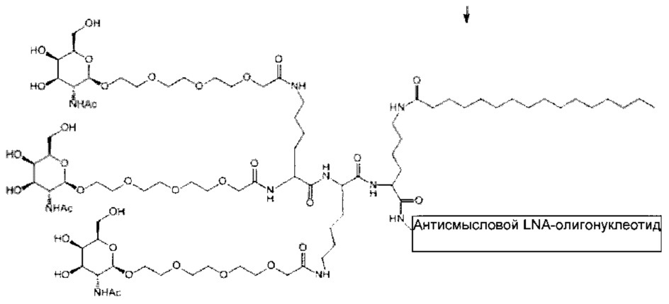 Конъюгаты углевода и lna-олигонуклеотида (патент 2649367)
