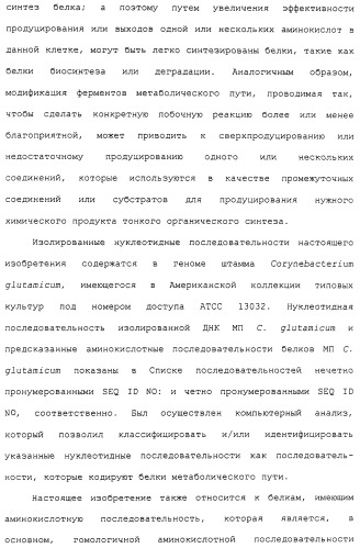 Гены corynebacterium glutamicum, кодирующие белки метаболических путей (патент 2306339)