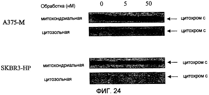 Терапевтические агенты, содержащие проапоптозные белки (патент 2319709)