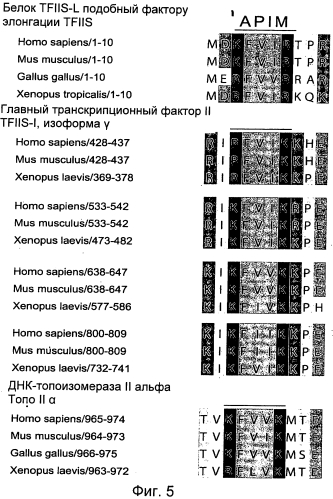 Олигопептидные соединения и их применения (патент 2549675)