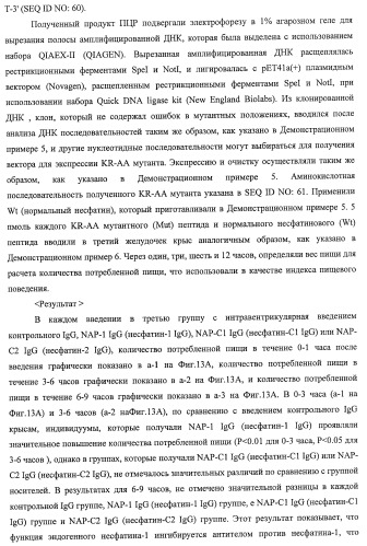 Способ получения фактора, связанного с контролем над потреблением пищи и/или массой тела, полипептид, обладающий активностью подавления потребления пищи и/или прибавления в весе, молекула нуклеиновой кислоты, кодирующая полипептид, способы и применение полипептида (патент 2418002)