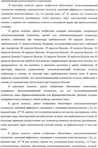 Scfv-антитела, которые проходят через эпителиальный и/или эндотелиальный слои (патент 2438708)