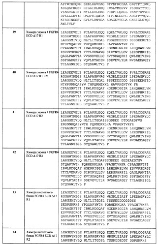 Мутеины кислотной зоны внеклеточного домена рецептора фактора роста фибробластов (патент 2509774)