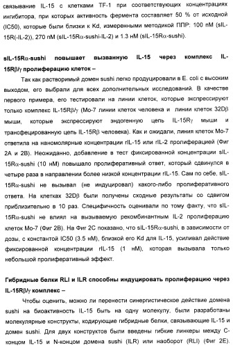 Соединение, предназначенное для стимуляции пути передачи сигнала через il-15rбета/гамма, с целью индуцировать и/или стимулировать активацию и/или пролиферацию il-15rбета/гамма-положительных клеток, таких как nk-и/или t-клетки, нуклеиновая кислота, кодирующая соединение, вектор экспрессии, клетка-хозяин, адъювант для иммунотерапевтической композиции, фармацевтическая композиция и лекарственное средство для лечения состояния или заболевания, при котором желательно повышение активности il-15, способ in vitro индукции и/или стимуляции пролиферации и/или активации il-15rбета/гамма-положительных клеток и способ получения in vitro активированных nk-и/или t-клеток (патент 2454463)