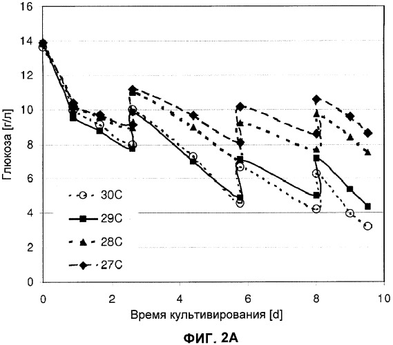 Применение низкой температуры и/или низкого pн в культуре клеток (патент 2478702)