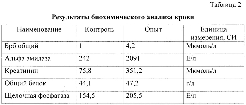 Способ моделирования острого деструктивного панкреатита у свиней (патент 2668201)