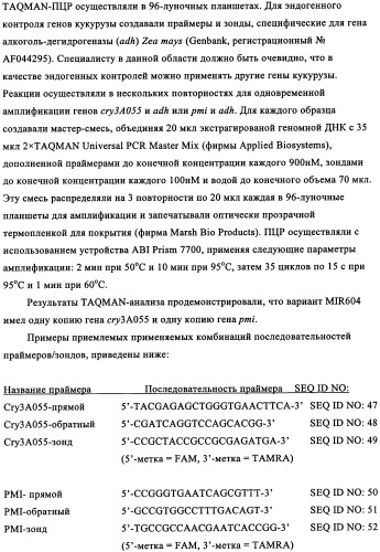 Вариант кукурузы mir604 (патент 2351122)