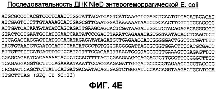 Бактериальные факторы вирулентности и варианты их применения (патент 2465331)