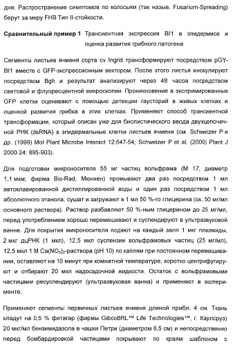 Способ повышения стойкости к стрессовым факторам в растениях (патент 2375452)