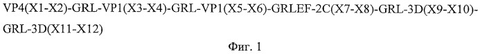 Полиэпитопный белок, нуклеотидная последовательность, кодирующая полиэпитопный белок, плазмида с последовательностью, кодирующей полиэпитопный белок, и препарат полиэпитопного белка для индукции иммунного ответа против вируса ящура (патент 2467014)