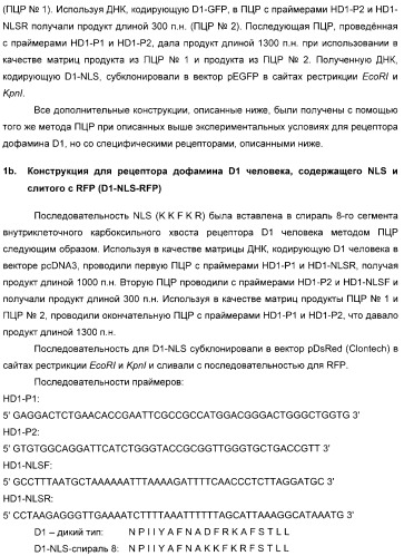 Способ идентификации соединений, взаимодействующих с трансмембранными белками (патент 2326166)