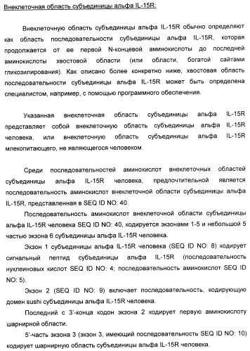 Соединение, предназначенное для стимуляции пути передачи сигнала через il-15rбета/гамма, с целью индуцировать и/или стимулировать активацию и/или пролиферацию il-15rбета/гамма-положительных клеток, таких как nk-и/или t-клетки, нуклеиновая кислота, кодирующая соединение, вектор экспрессии, клетка-хозяин, адъювант для иммунотерапевтической композиции, фармацевтическая композиция и лекарственное средство для лечения состояния или заболевания, при котором желательно повышение активности il-15, способ in vitro индукции и/или стимуляции пролиферации и/или активации il-15rбета/гамма-положительных клеток и способ получения in vitro активированных nk-и/или t-клеток (патент 2454463)