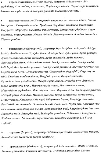 Жидкие пестицидные композиции (патент 2358427)