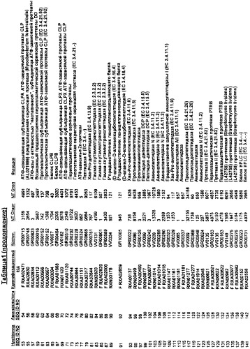 Гены corynebacterium glutamicum, кодирующие белки, участвующие в гомеостазе и адаптации (патент 2304616)