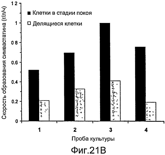 Способы получения симвастатина (патент 2447152)