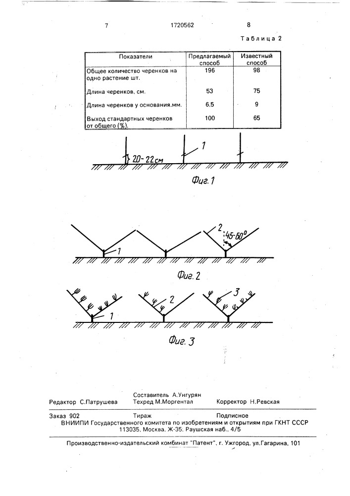 Способ формирования деревьев маточно-сортового сада (патент 1720562)