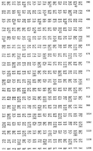 Ген abfb-2 penicillium funiculosum (патент 2388820)