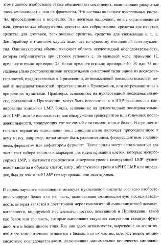 Молекулы нуклеиновых кислот, кодирующие wrinkled1-подобные полипептиды, и способы их применения в растениях (патент 2385347)