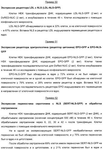 Способ идентификации соединений, взаимодействующих с трансмембранными белками (патент 2326166)