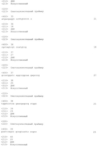 Полипептид (патент 2539776)