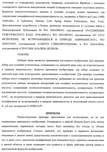 Система экспрессии компонентов ортогональной трансляции в эубактериальной клетке-хозяине (патент 2467069)