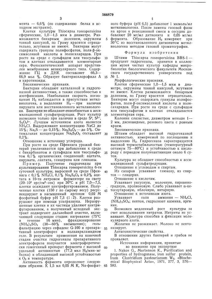 Штамм вв -1-продуцент гидрогеназы (патент 566879)