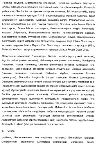 Способ повышения стойкости к стрессовым факторам в растениях (патент 2375452)