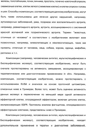 Человеческие моноклональные антитела к рецептору эпидермального фактора роста (egfr), способ их получения и их использование, гибридома, трансфектома, трансгенное животное, экспрессионный вектор (патент 2335507)