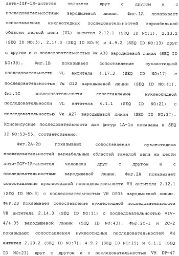 Комбинированная терапия негематологических злокачественных опухолей с использованием анти-igf-1r-антитела (патент 2342159)