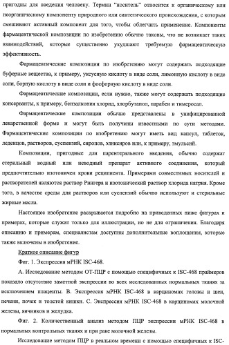 Идентификация опухолевых антигенов для диагностики и терапии (патент 2485974)