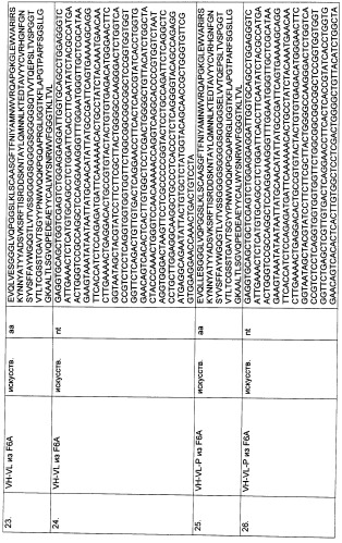 Pscaxcd3, cd19xcd3, c-metxcd3, эндосиалинxcd3, epcamxcd3, igf-1rxcd3 или fap-альфаxcd3 биспецифическое одноцепочечное антитело с межвидовой специфичностью (патент 2547600)