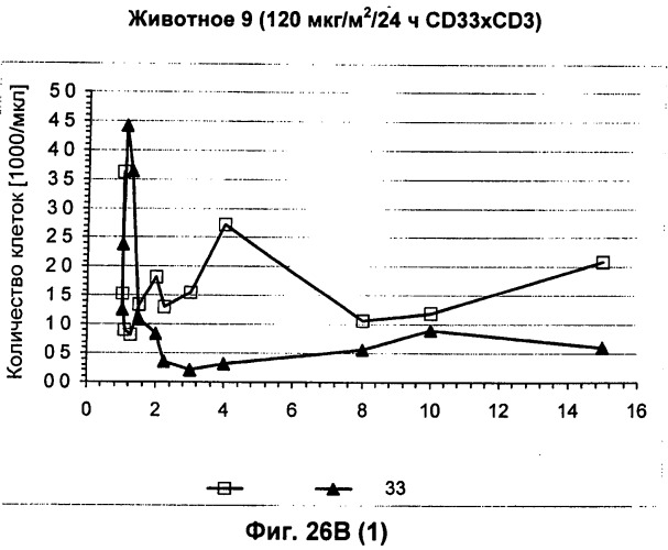 Psma×cd3 биспецифическое одноцепочечное антитело с межвидовой специфичностью (патент 2559531)