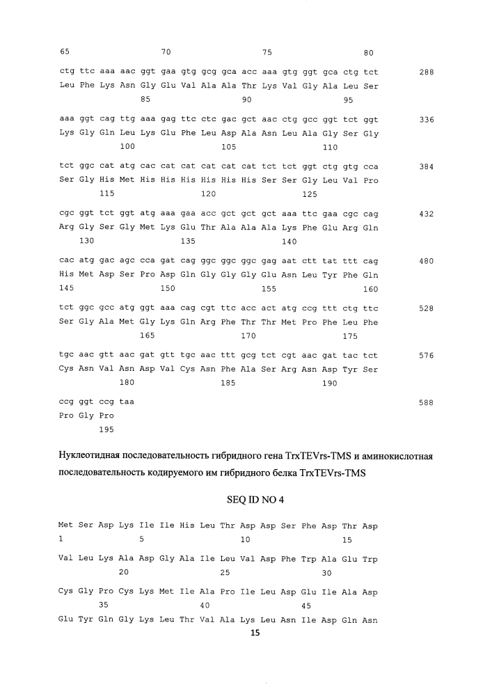 Штамм е. coli bl21(de3)/ptev-tms - продуцент гибридного белка trxtevrs-tms, предназначенного для протеолитического расщепления с образованием антиангиогенного пептида тумастина, производного фрагмента [l69k-95] тумстатина человека, и способ получения рекомбинантного антиангиогенного пептида (патент 2625008)