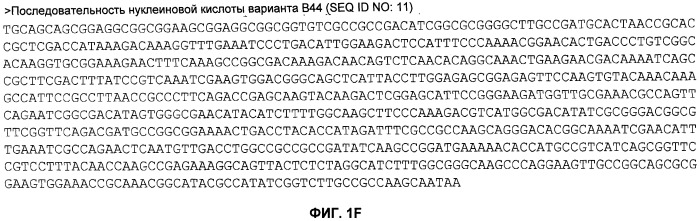 Нелипидизированные варианты антигенов neisseria meningitidis orf2086 (патент 2546873)